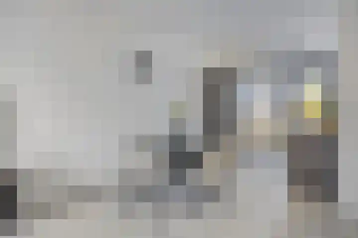 Fuga 12 Oss thumbnail 6