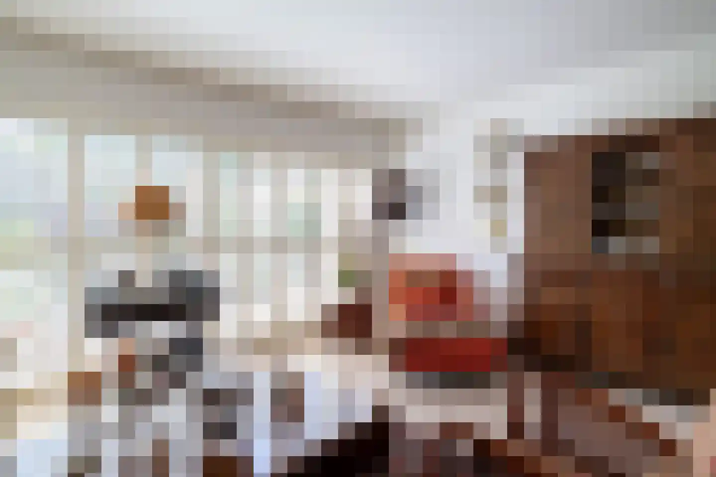 Fuga 42 Krimpen aan den IJssel thumbnail 12