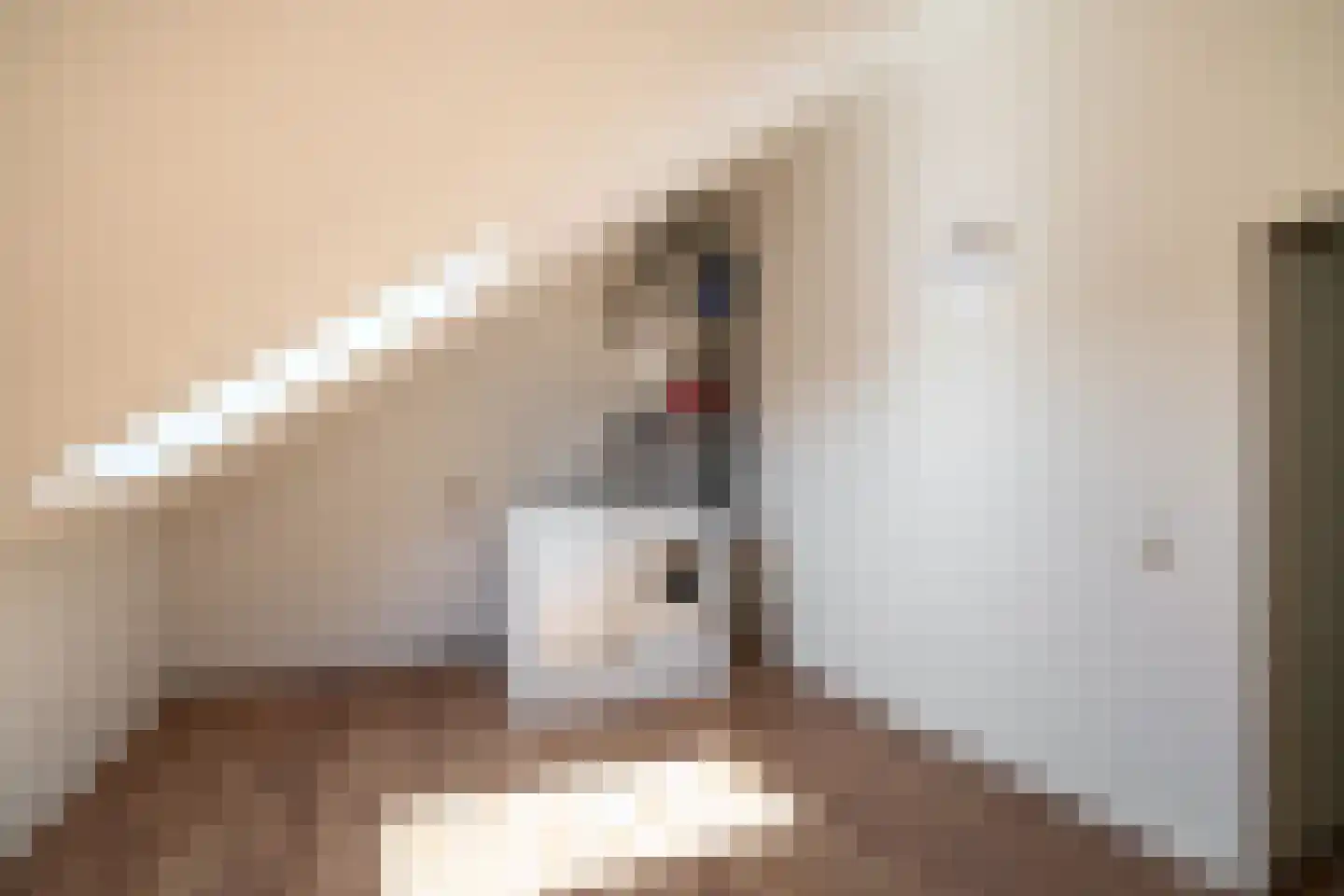 Fuga 42 Krimpen aan den IJssel thumbnail 33