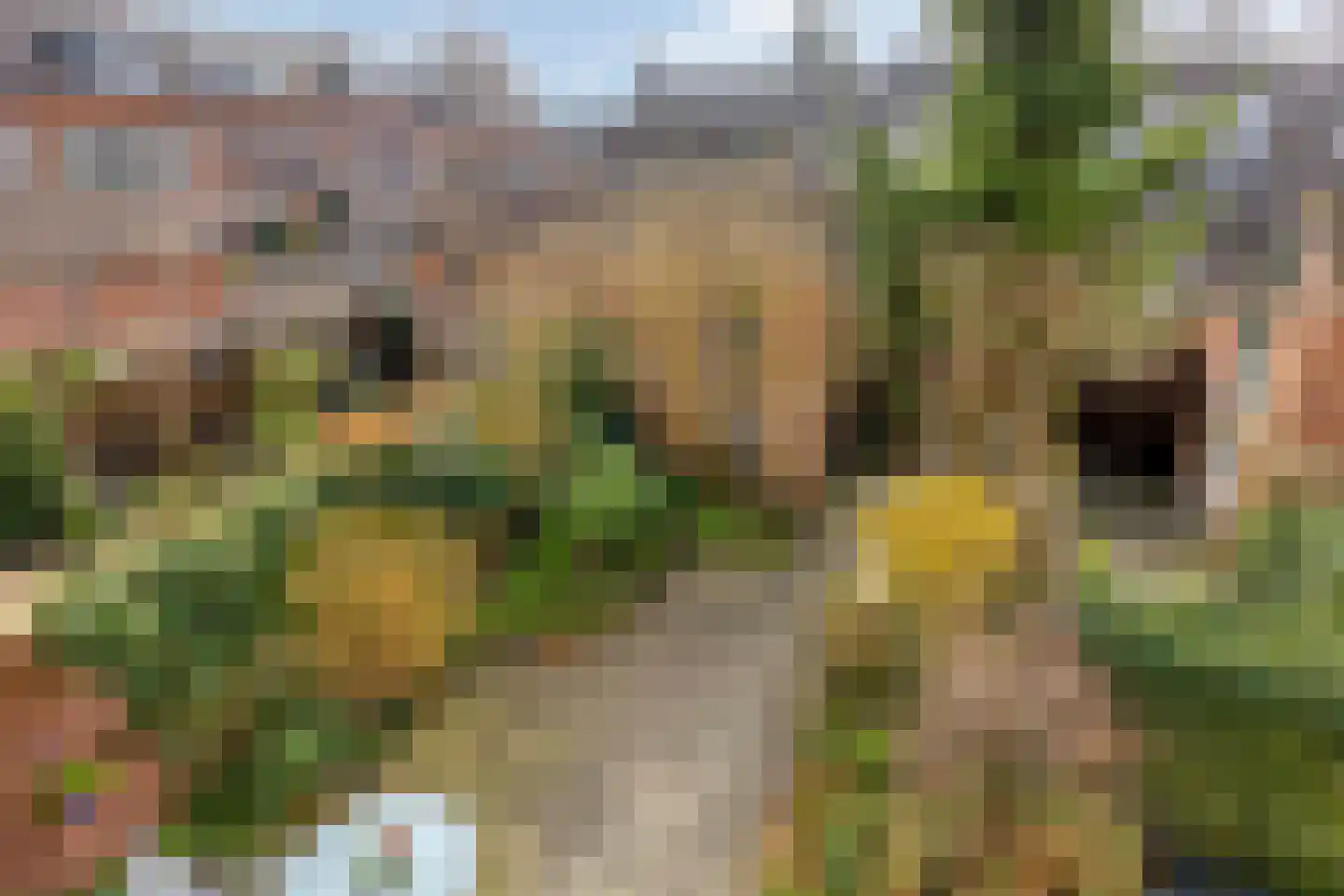 Fuga 58 Krimpen aan den IJssel thumbnail 47