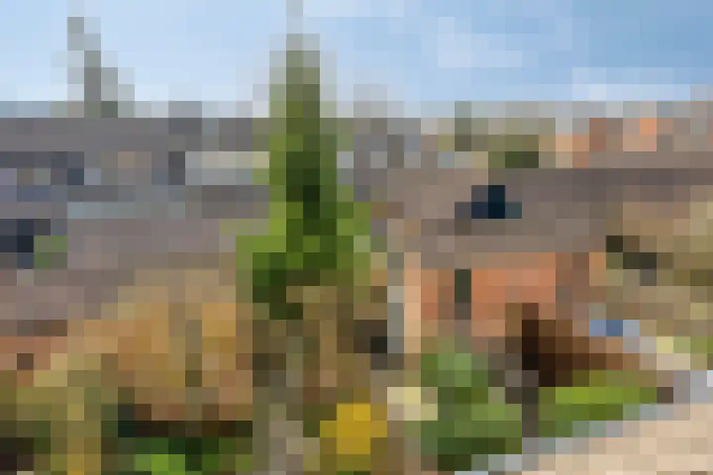 Fuga 58 Krimpen aan den IJssel thumbnail 50