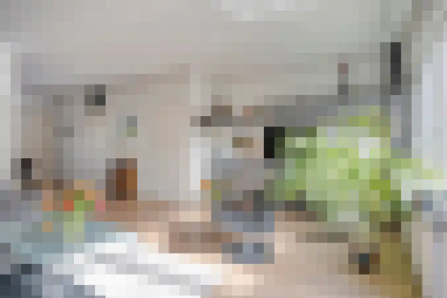 Fuga 58 Krimpen aan den IJssel thumbnail 8