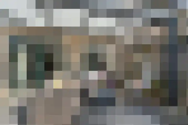 Fugaplantsoen 13 Almere thumbnail 18