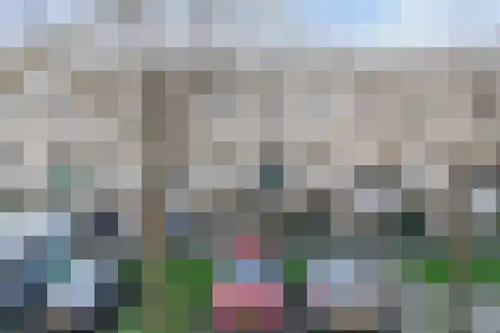 Fugaplantsoen 13 Almere thumbnail 42