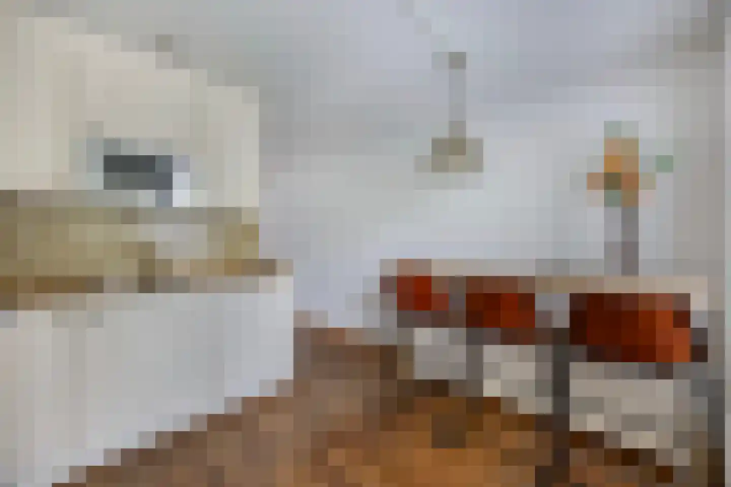 Fugaplantsoen 7 Almere thumbnail 14