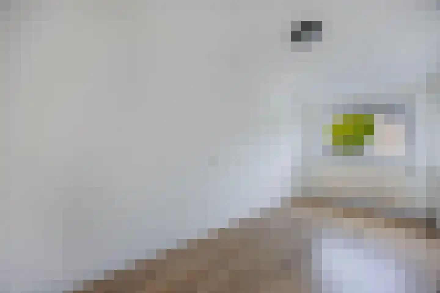 Fugaplantsoen 7 Almere thumbnail 18