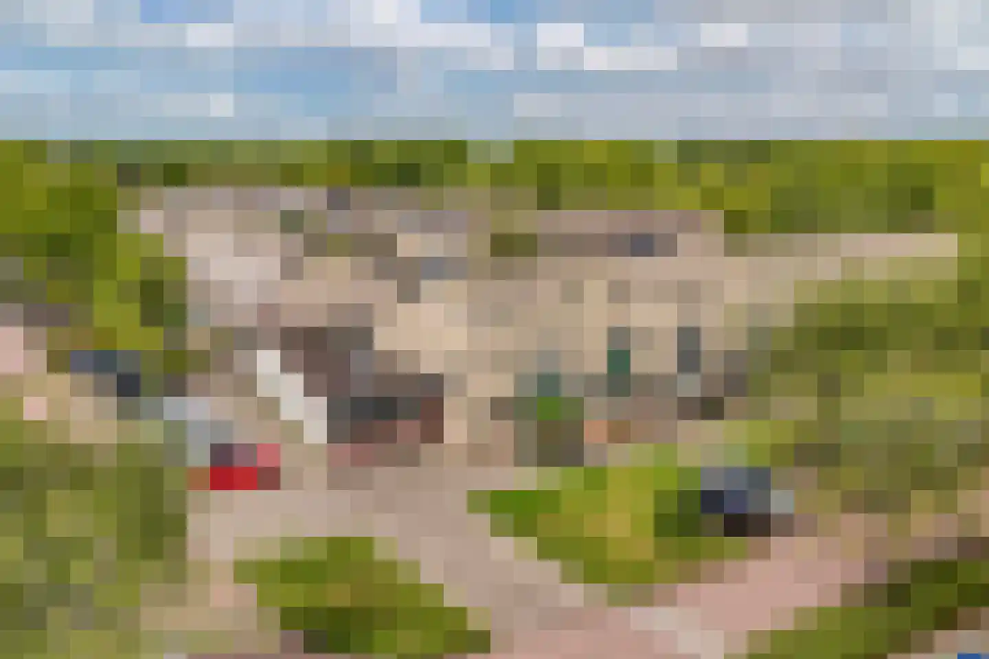 Fugaplantsoen 7 Almere thumbnail 37