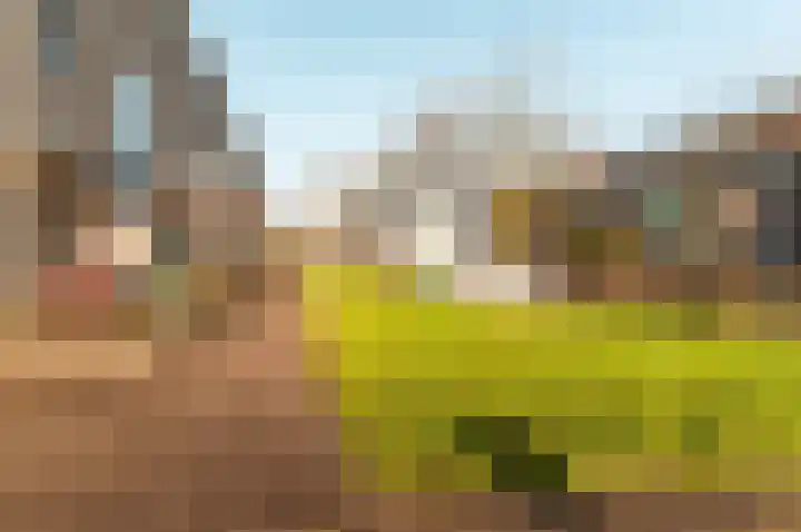 Fugaplantsoen 7 Almere thumbnail 45