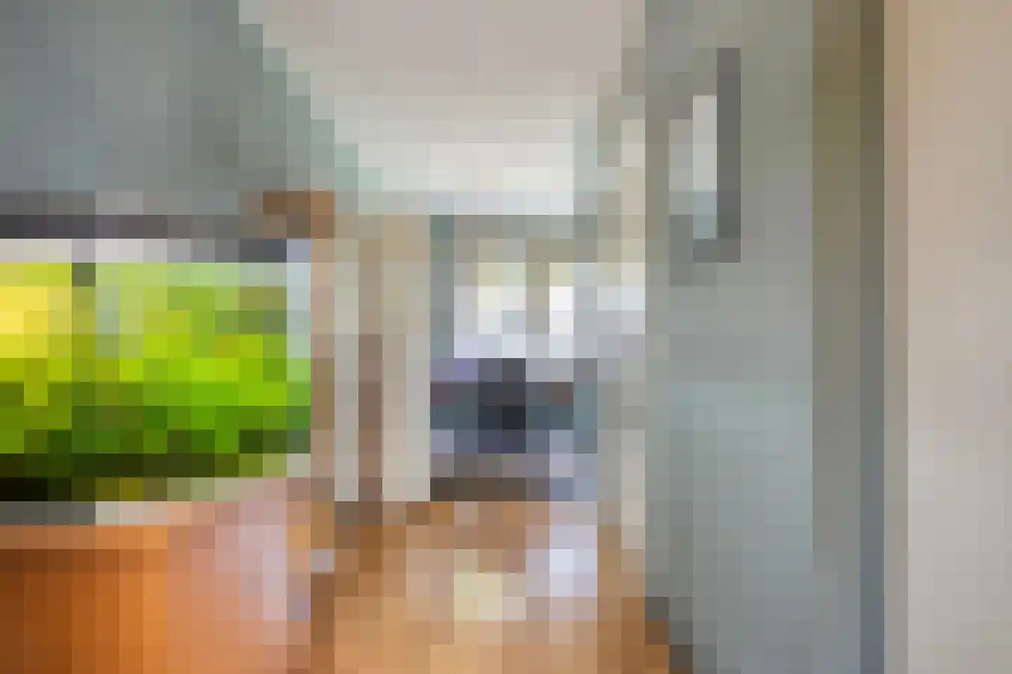 Fugaplantsoen 9 Almere thumbnail 13