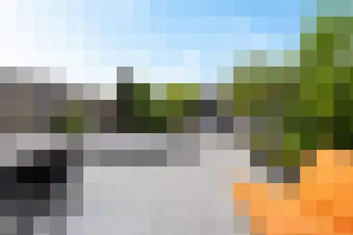 Fûgeldyk 16 Leeuwarden thumbnail 17