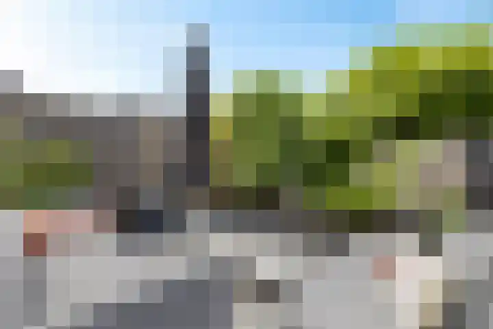 Fûgeldyk 16 Leeuwarden thumbnail 18