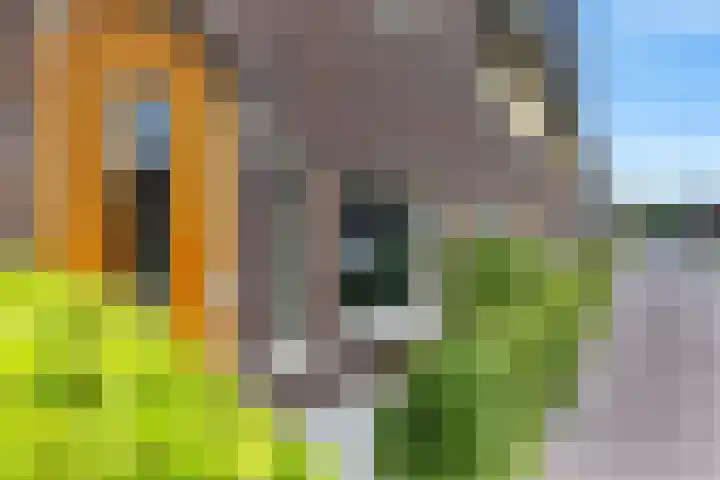 Fûgeldyk 16 Leeuwarden thumbnail 38