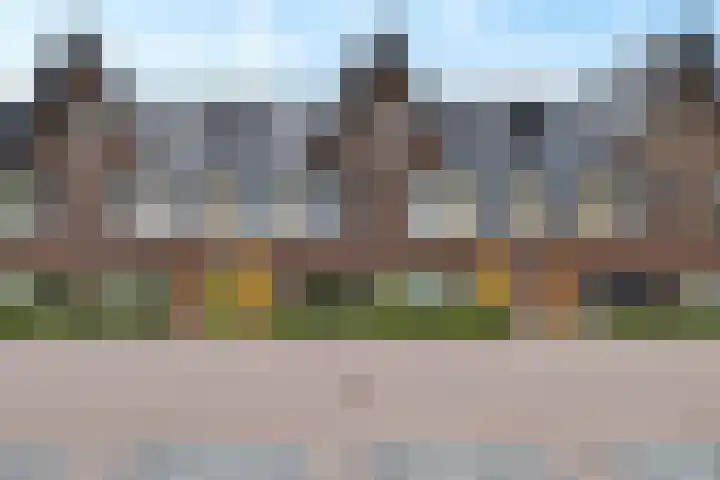 Fûgeldyk 16 Leeuwarden thumbnail 40