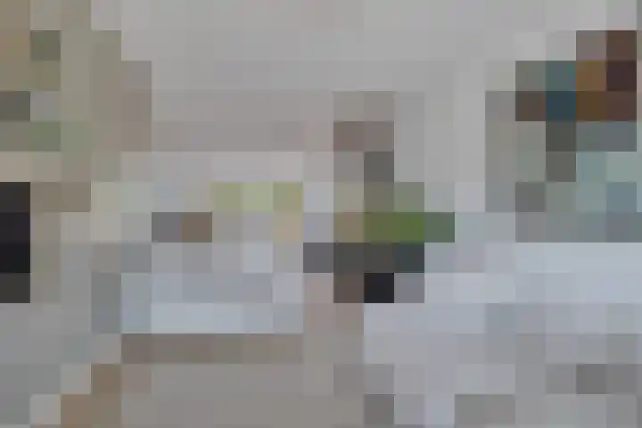 Fûgeldyk 16 Leeuwarden thumbnail 6