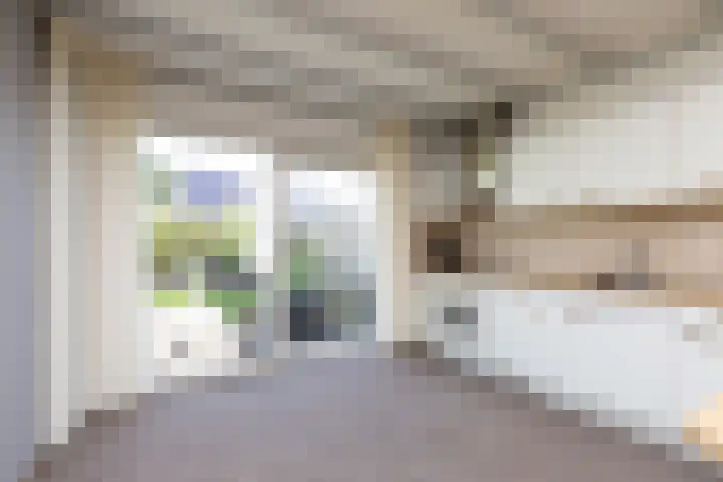 Fûgelikkers 1 Workum thumbnail 12