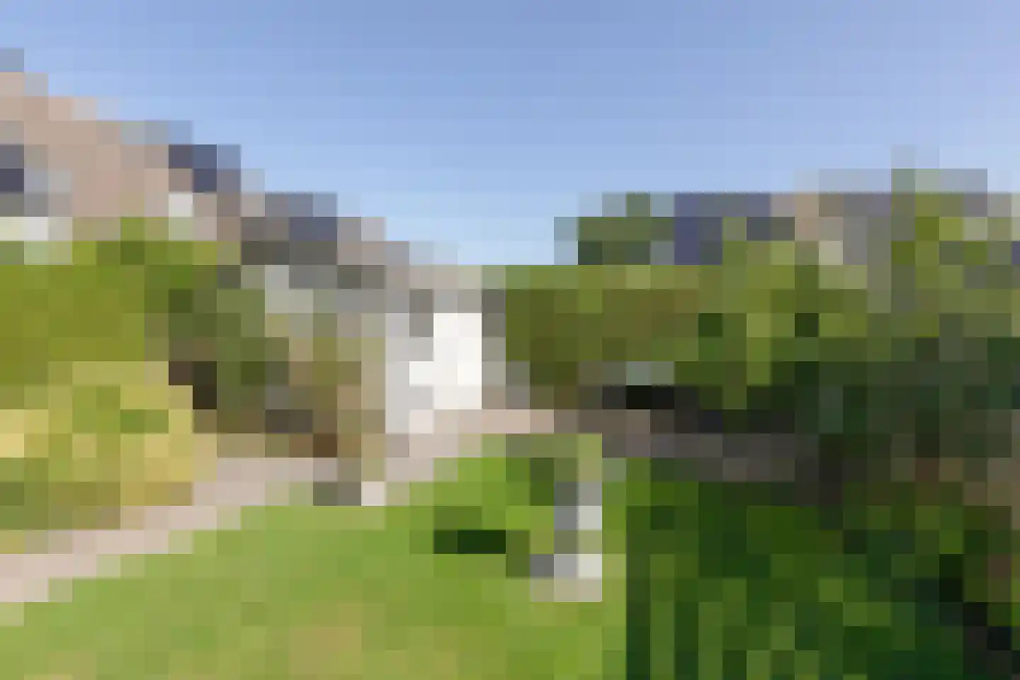 Fûgelikkers 1 Workum thumbnail 28