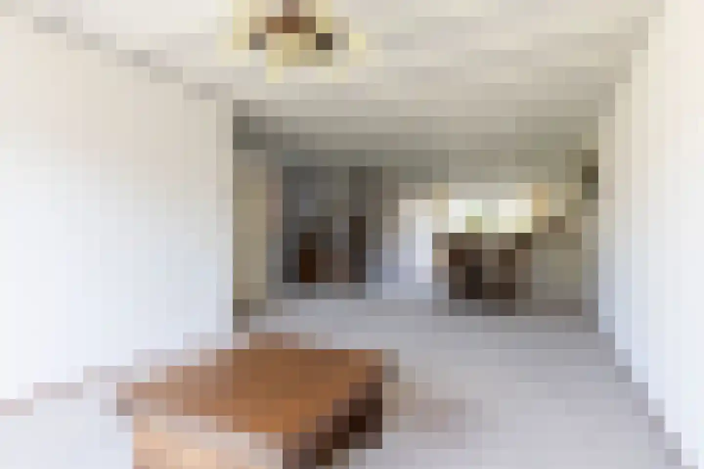 Fûgelikkers 1 Workum thumbnail 9