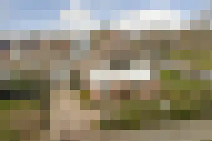 Fûgelikkers 21 Workum