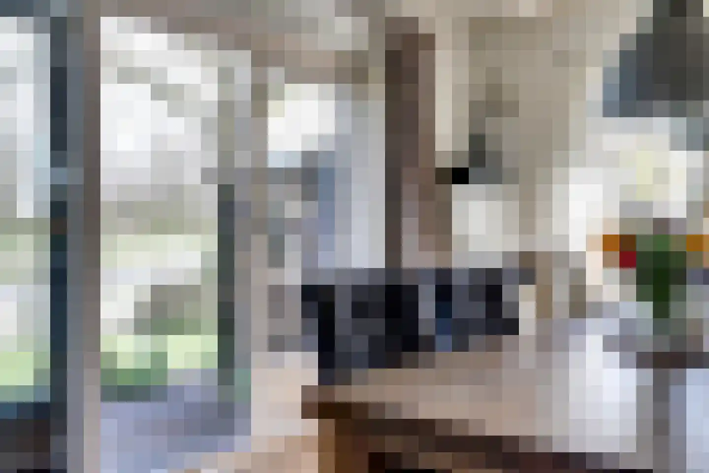Fûgelikkers 21 Workum thumbnail 11