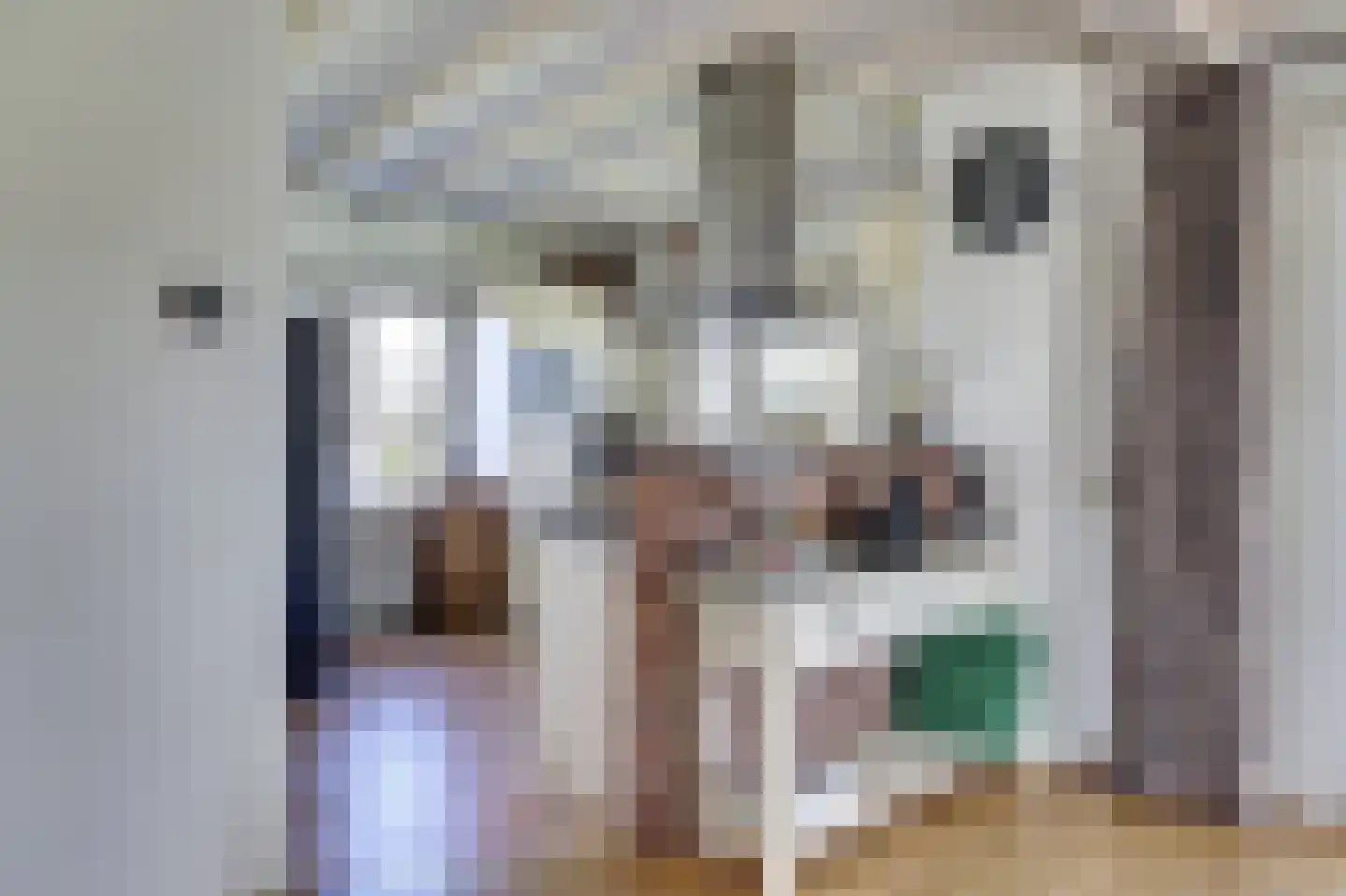 Fûgelikkers 21 Workum thumbnail 12