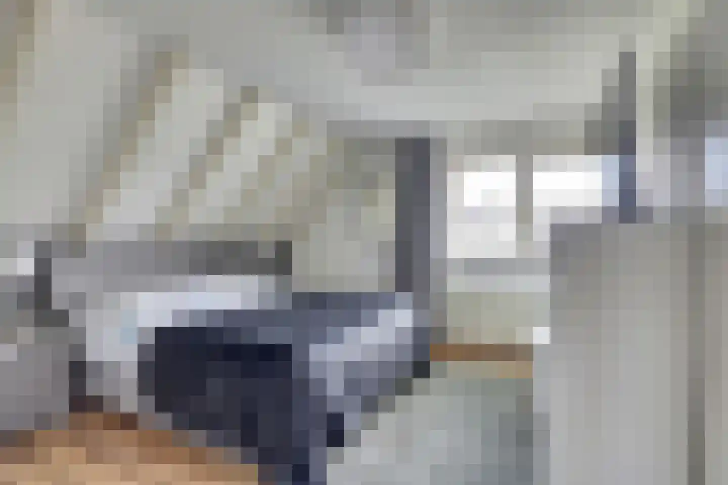 Fûgelikkers 21 Workum thumbnail 15
