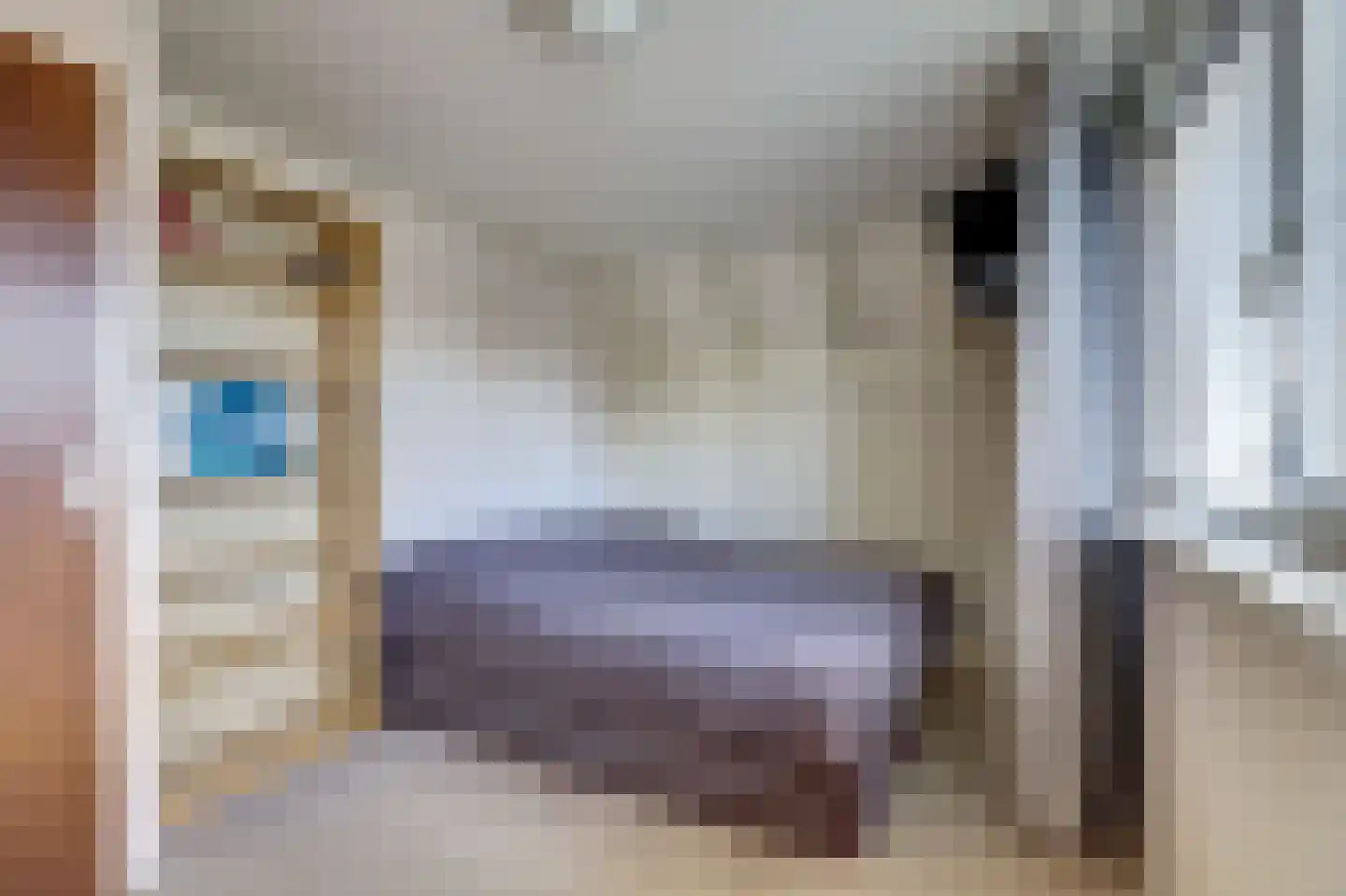Fûgelikkers 21 Workum thumbnail 18