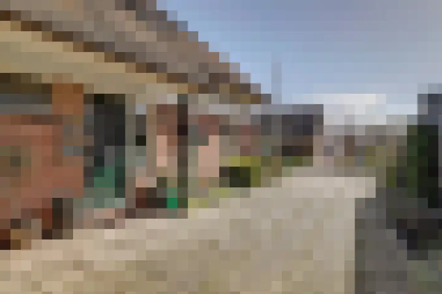 Fûgelikkers 21 Workum thumbnail 22