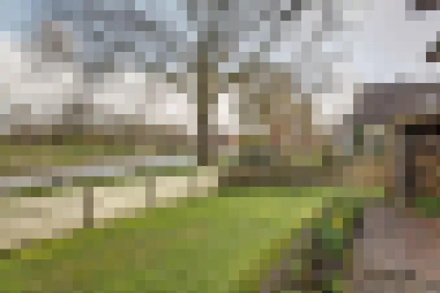 Fûgelikkers 21 Workum thumbnail 29