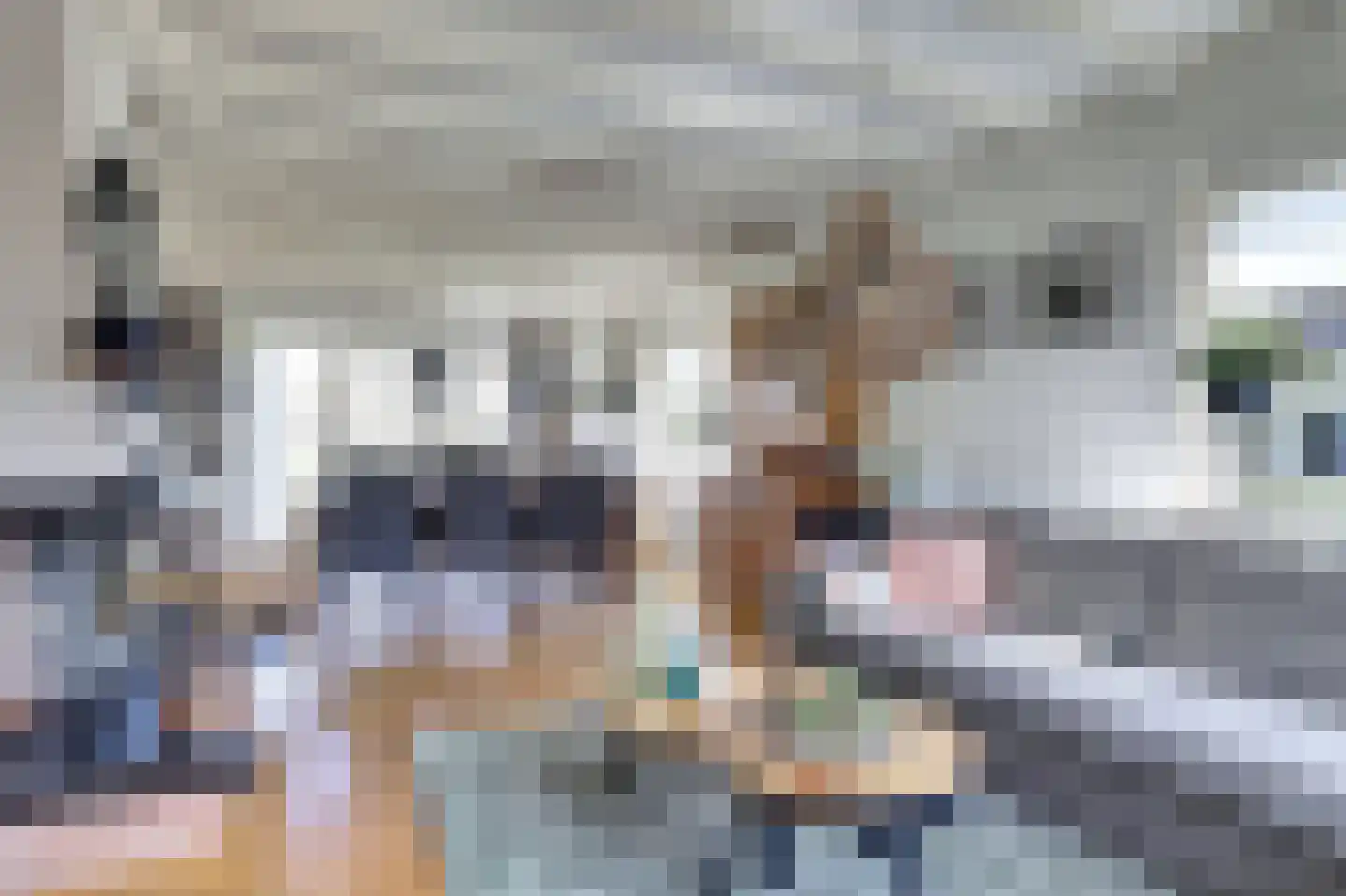 Fûgelikkers 21 Workum thumbnail 4