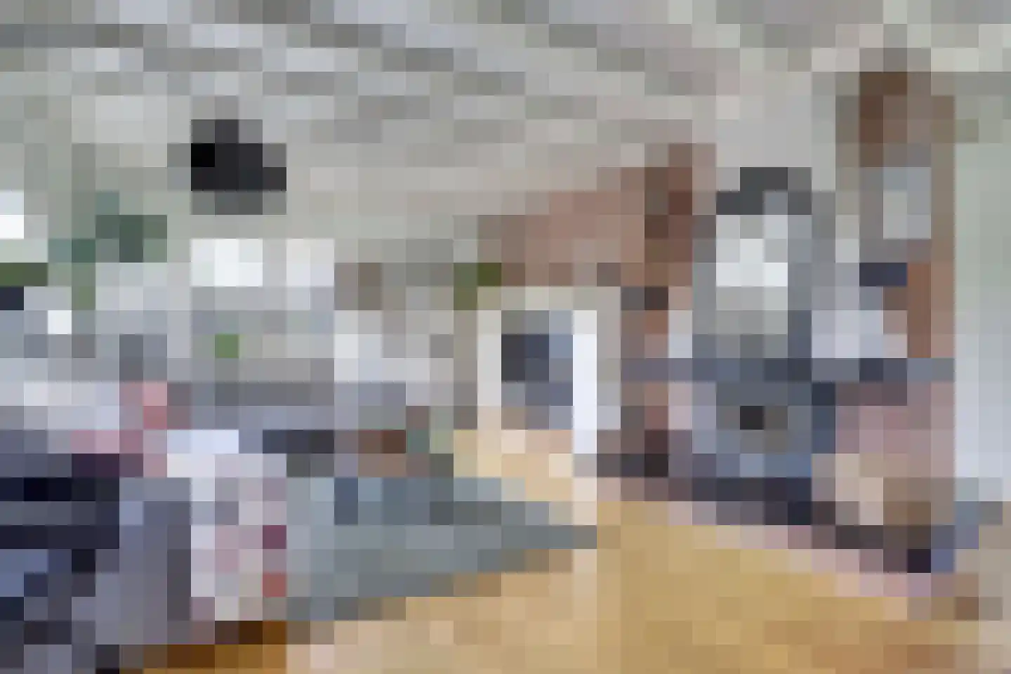 Fûgelikkers 21 Workum thumbnail 7