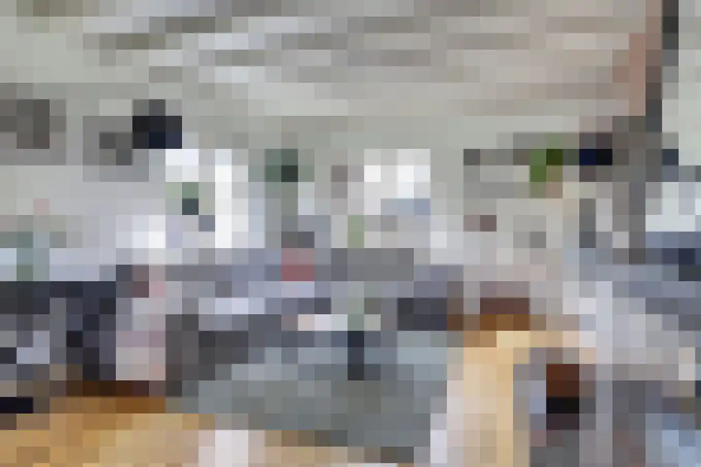 Fûgelikkers 21 Workum thumbnail 8