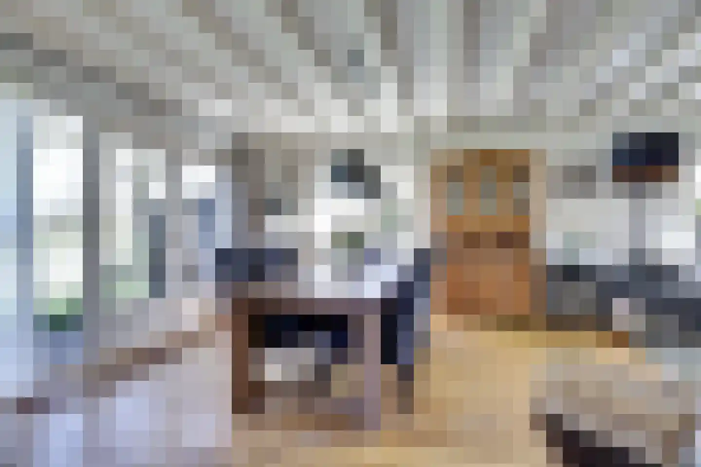 Fûgelikkers 21 Workum thumbnail 9