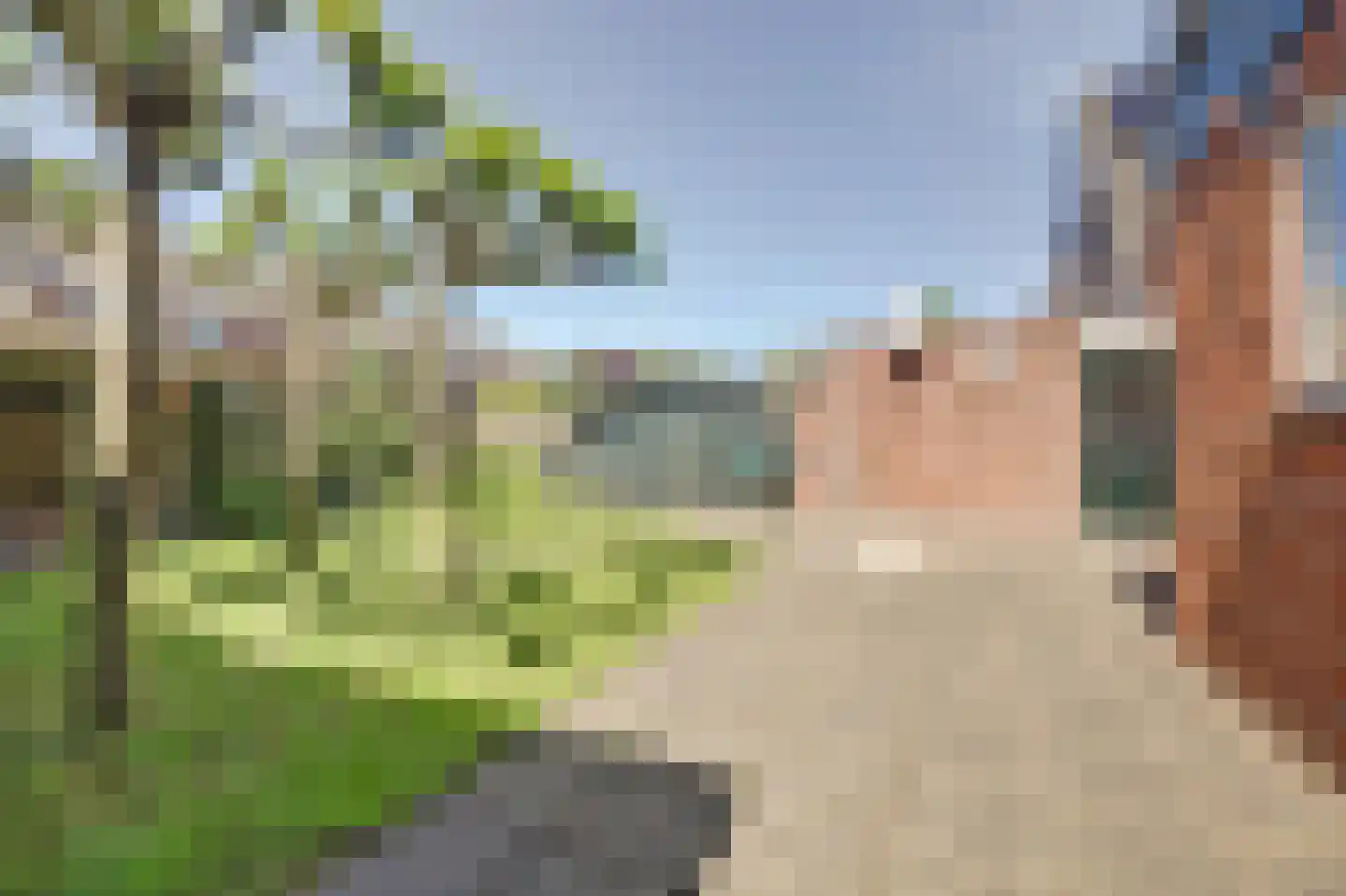 Fûgelikkers 56 Workum thumbnail 17