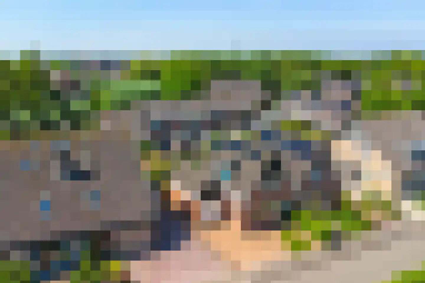 Fûgelikkers 56 Workum thumbnail 21