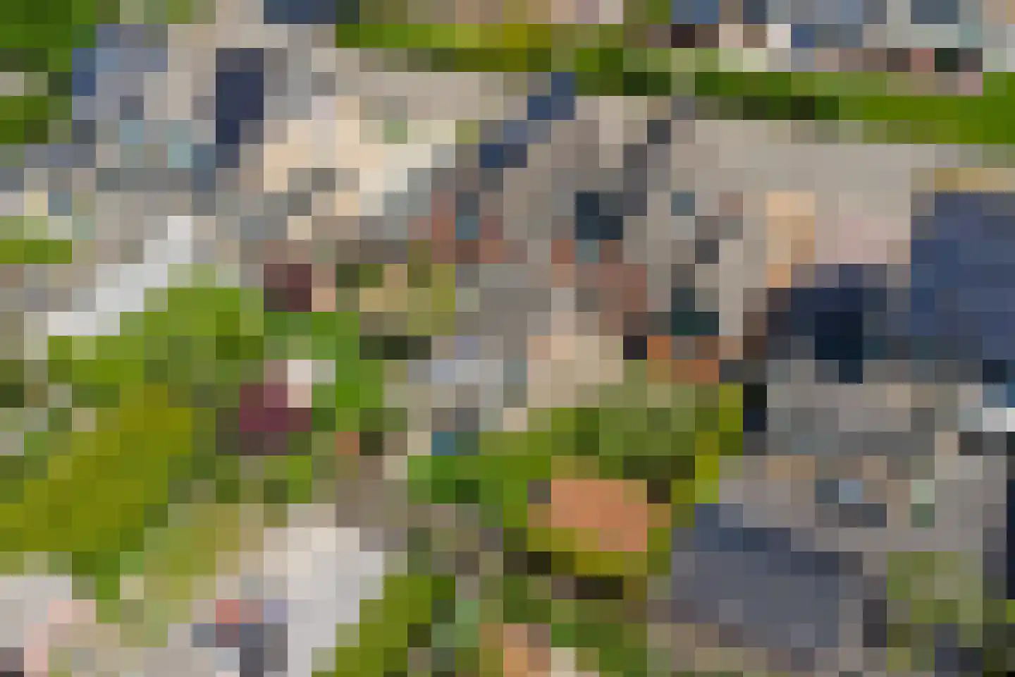 Fûgelikkers 56 Workum thumbnail 24
