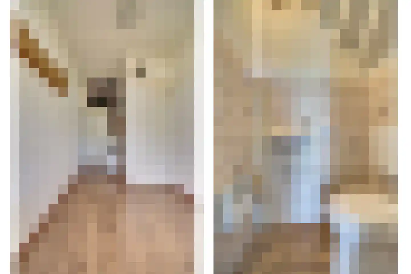 Fûgelikkers 56 Workum thumbnail 5