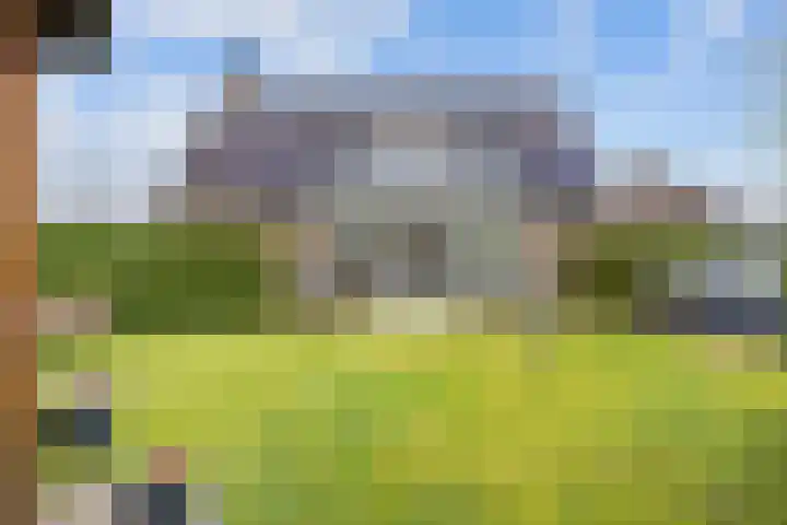 Fûgelkamp 11 Harkema thumbnail 11