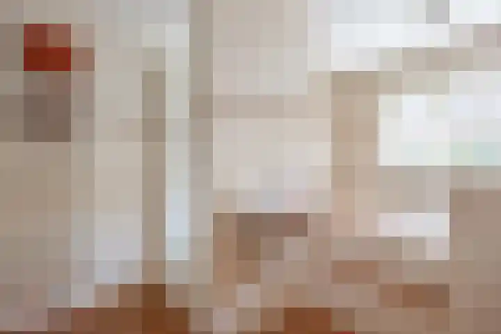 Fûgelkamp 11 Harkema thumbnail 22