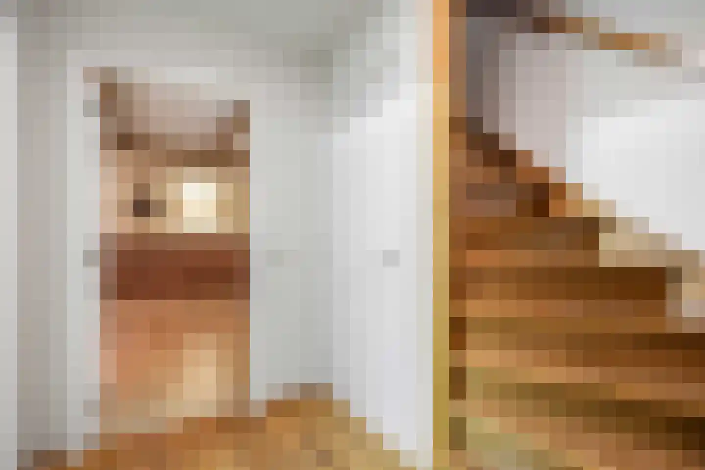 Fûgelkamp 11 Harkema thumbnail 62