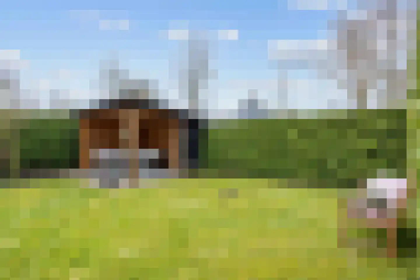 Fûgelkamp 11 Harkema thumbnail 71