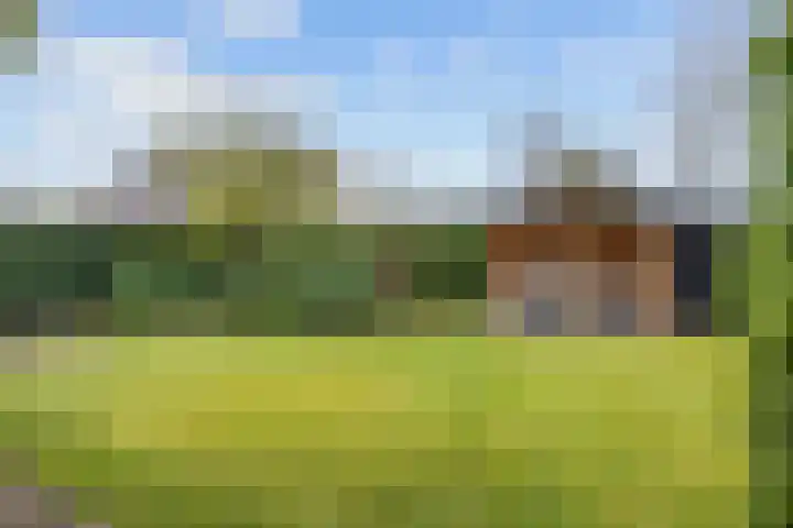 Fûgelkamp 11 Harkema thumbnail 72