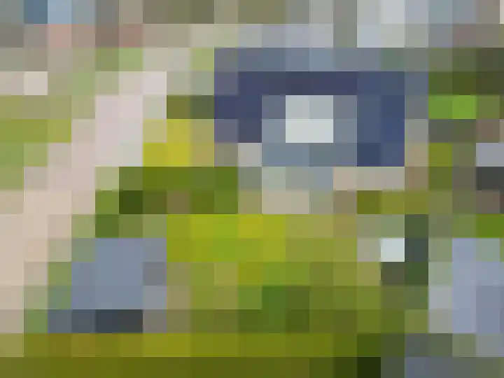 Fûgelkamp 11 Harkema thumbnail 76