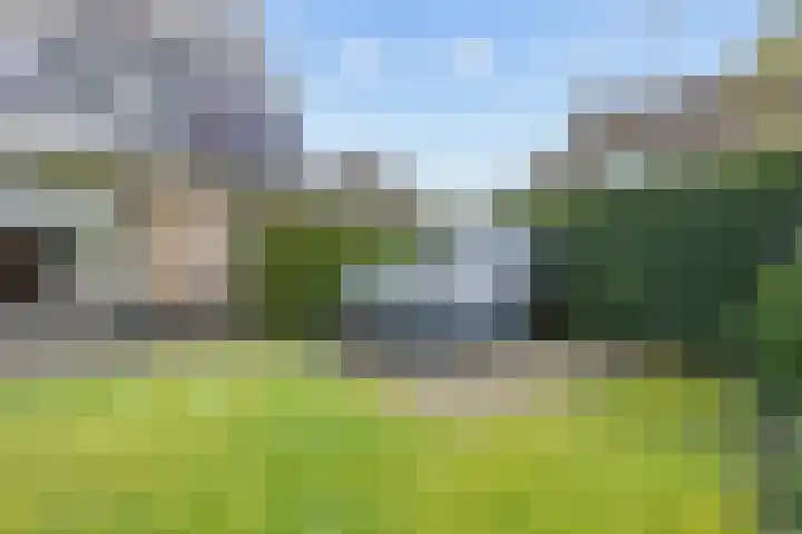 Fûgelkamp 11 Harkema thumbnail 79