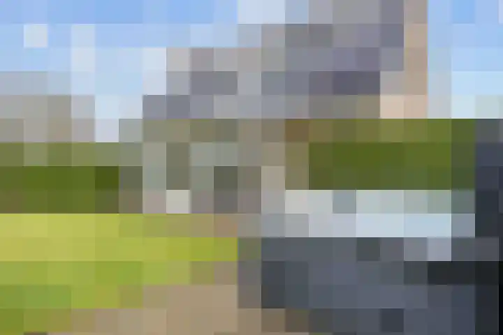 Fûgelkamp 11 Harkema thumbnail 80