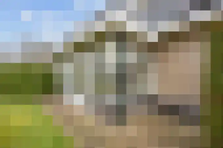 Fûgelkamp 11 Harkema thumbnail 82