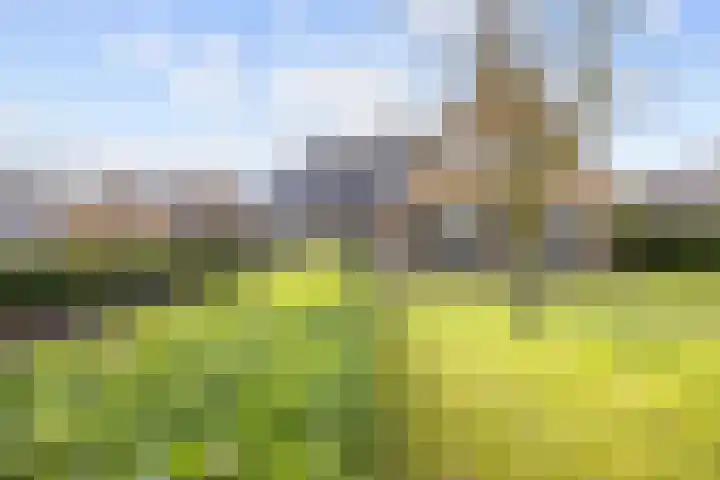 Fûgelkamp 11 Harkema thumbnail 85
