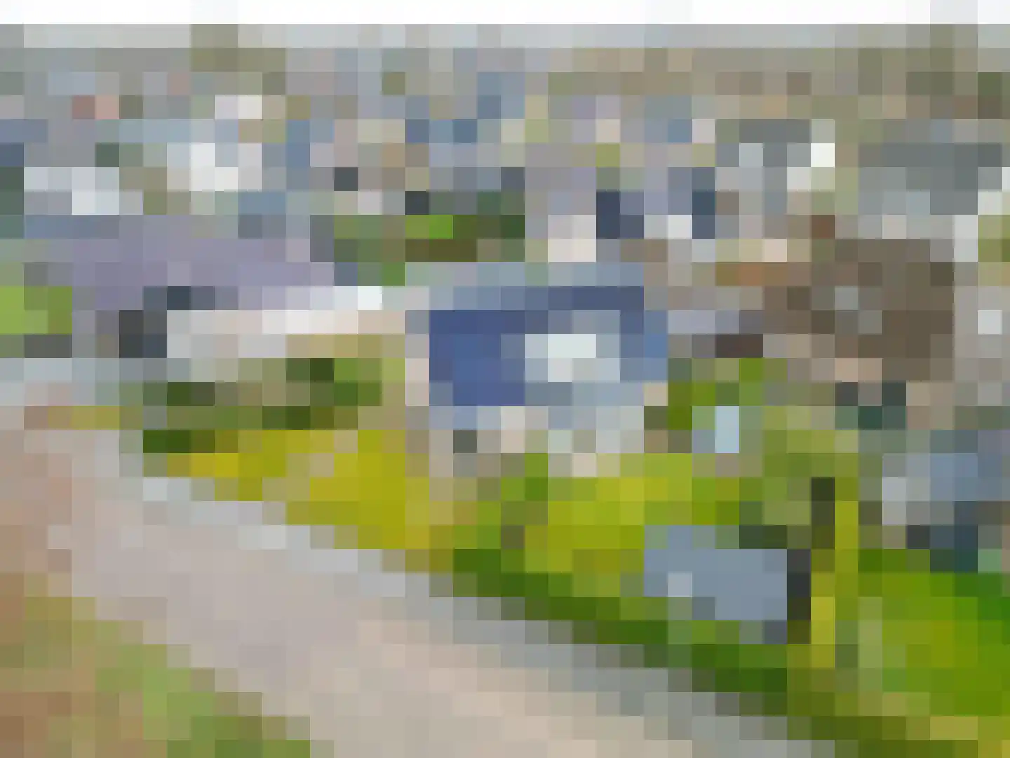 Fûgelkamp 11 Harkema thumbnail 87