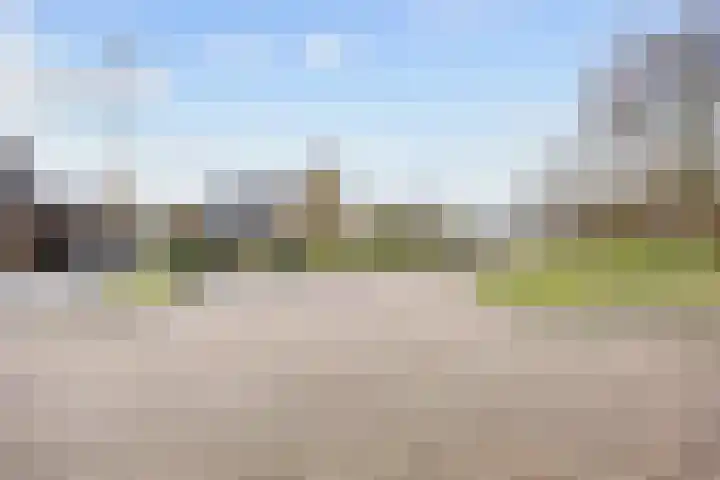 Fûgelkamp 11 Harkema thumbnail 88