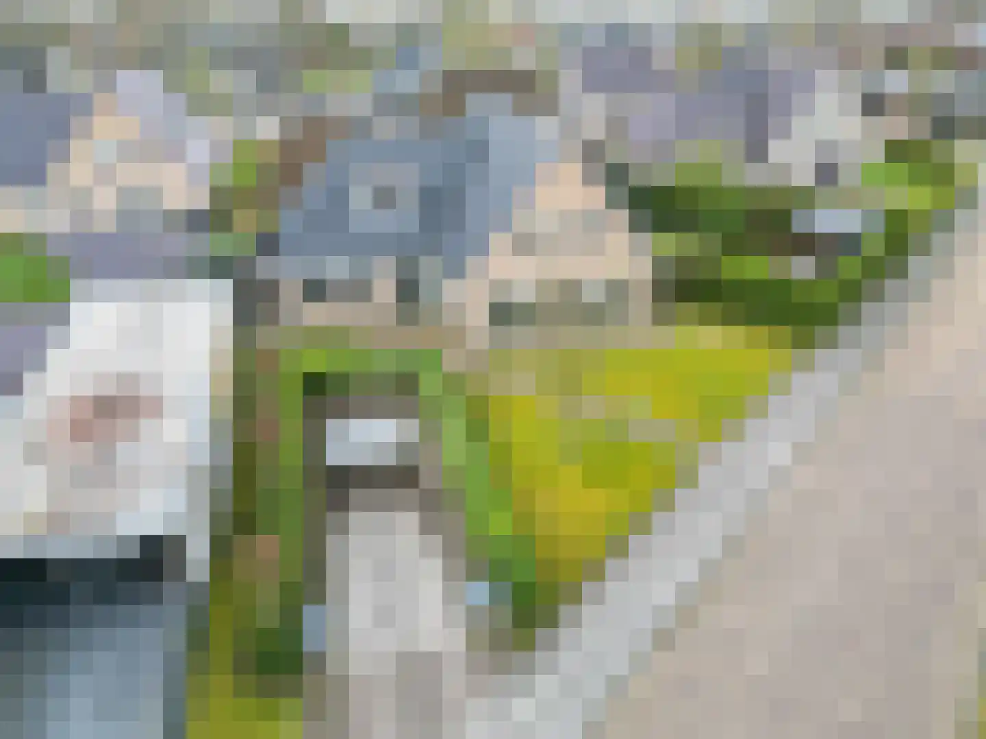 Fûgelkamp 11 Harkema thumbnail 88