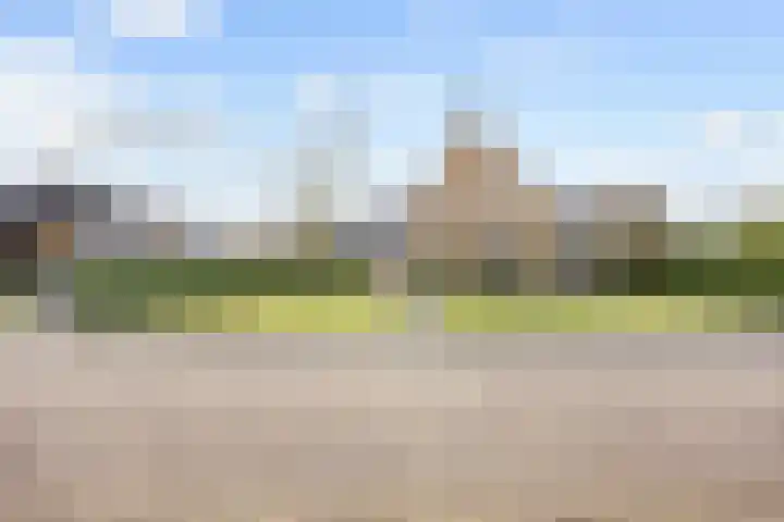 Fûgelkamp 11 Harkema thumbnail 89
